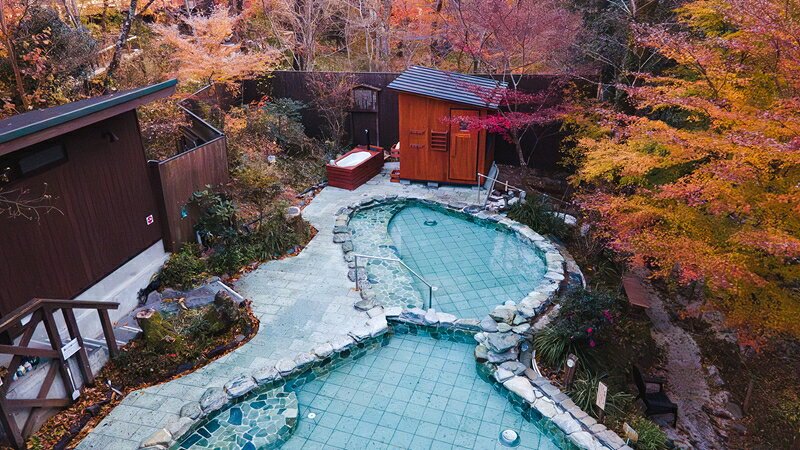 【ふるさと納税】おんりーゆー 日帰り入浴ご招待券 50枚セット【温泉 サウナ お風呂 結婚記念日 敬老の日 ギフト プレゼント 利用券 神奈川県 南足柄市 】の画像3
